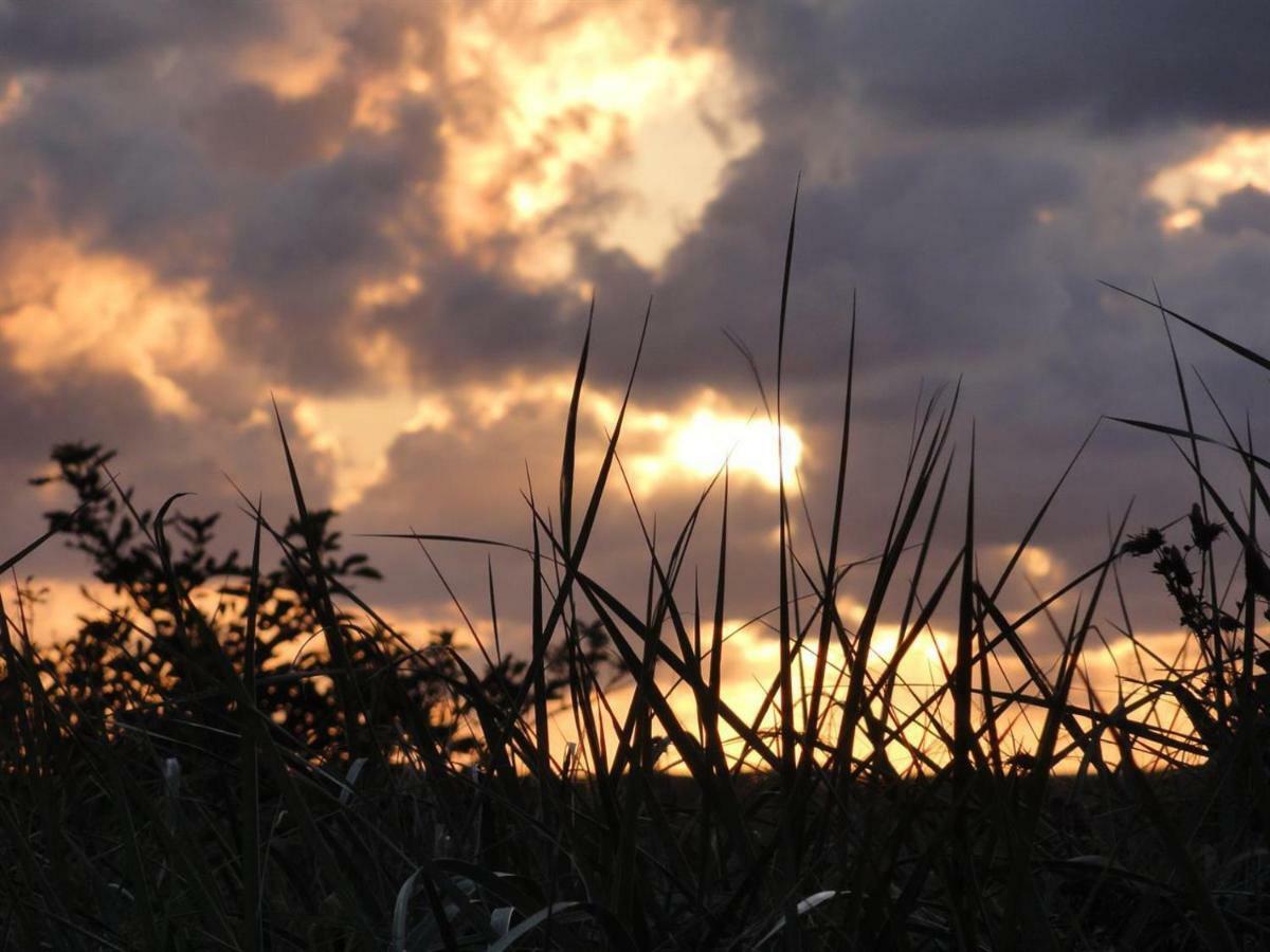 Dietrichs Wentzelhof Sankt Peter-Ording Bagian luar foto